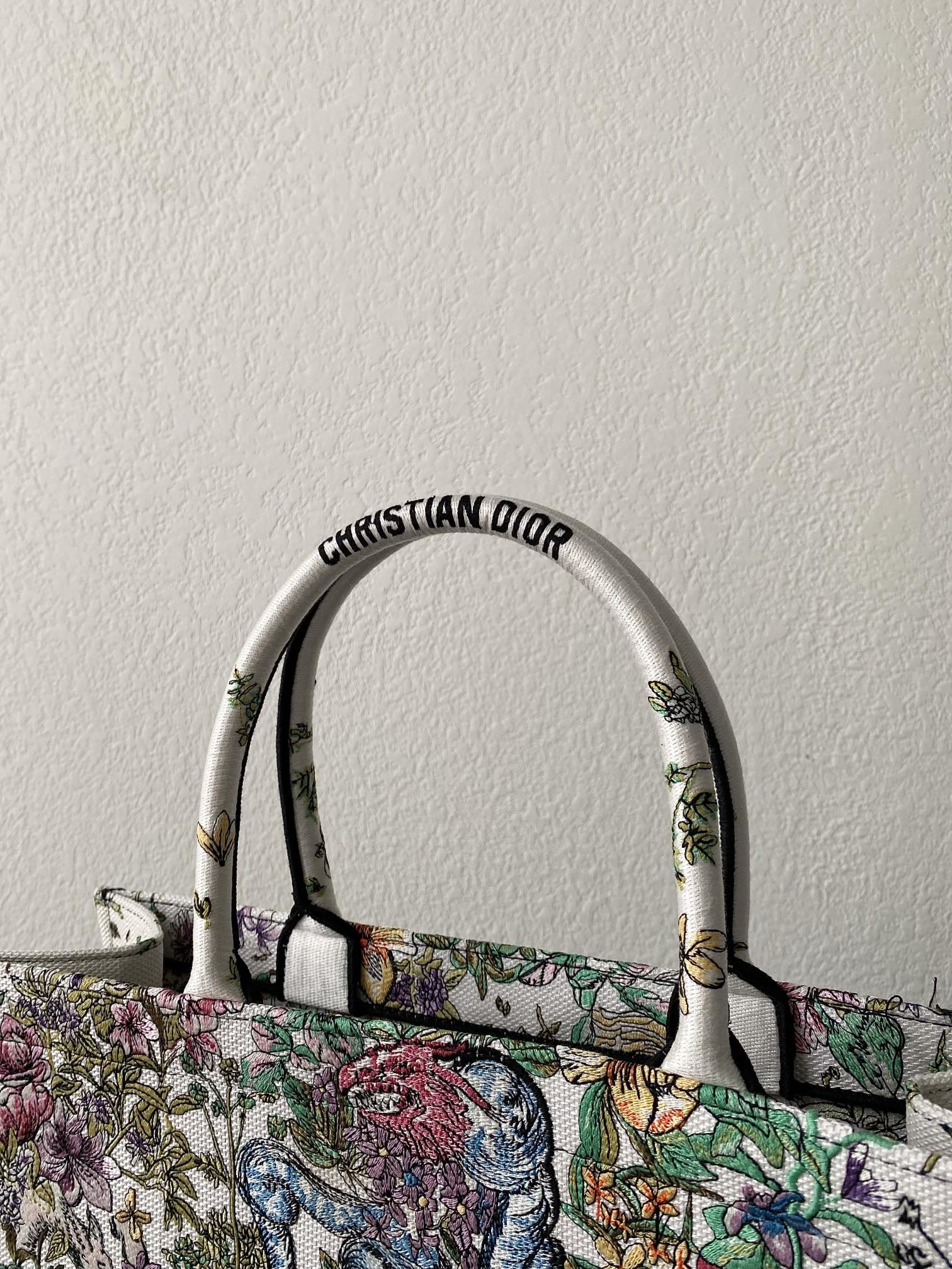 1704717402.9896JJmypPwJnRDIOR BOOK TOTE M1286 11.jpg