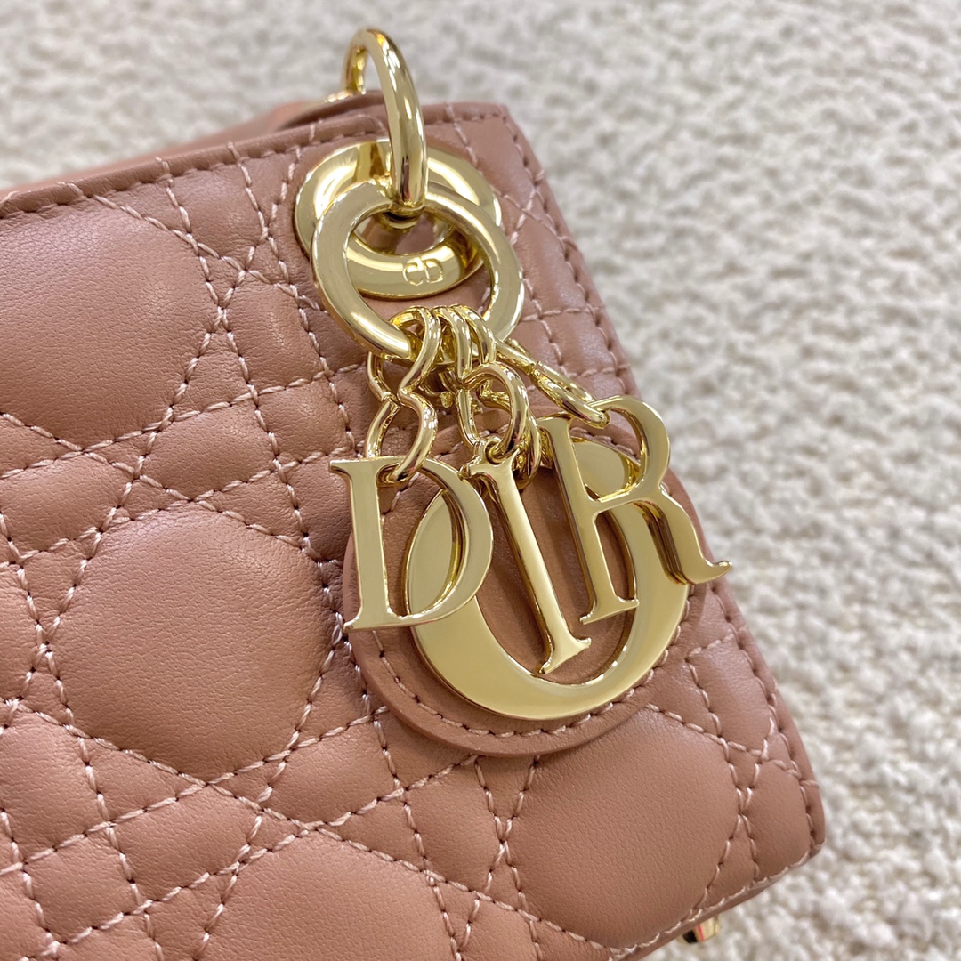 1704780100.6133TmDPcHrbJBMICRO LADY DIOR BAG  S0856ONGE_M49P 6.jpg