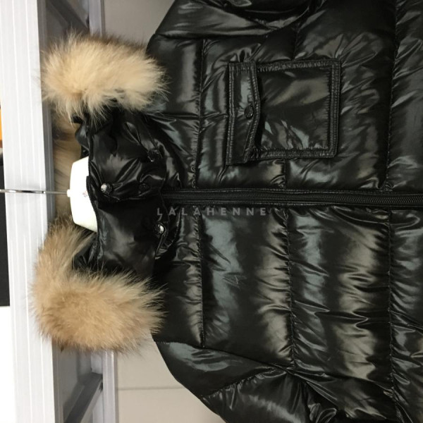 1736170117.366GoeEfQLionImage_20250106183626.jpg