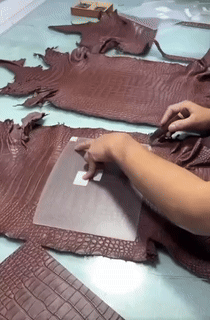 1744049769.452YstoSdmhXY5 3.gif