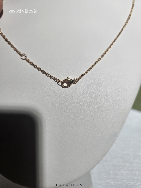 1790078278.8348rpGwHCFLyNImage_20260922202704_902_26.jpg