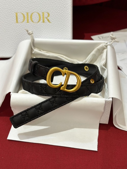 DIOR 디올 30 몽테인 벨트 까나쥬 B0436UWHN