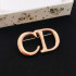 디올 신상 CD 브로치