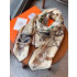에르메스 Stately Wheels scarf 스카프